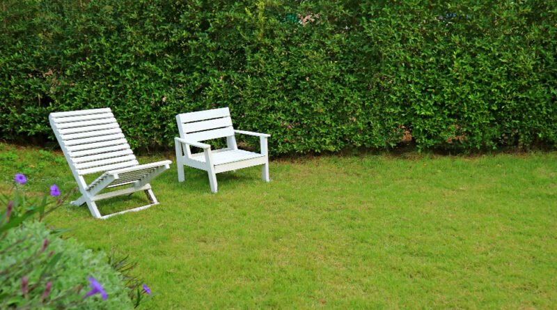 Two Different Type White Colored Wooden Chairs Vibrant Green Garden