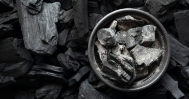 Still Life Ashes With Charcoal