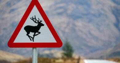 British Road Sign Scottish Highlands