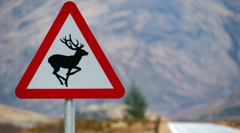 British Road Sign Scottish Highlands