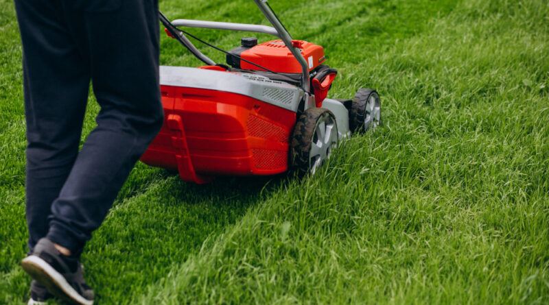 Man Cutting Grass With Lawn Mover Back Yard