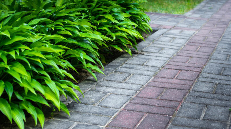 Stone Pathway Green Grass Hosta Flowers Along Path