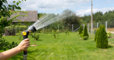 Watering Garden Plants From Garden Hose With Sprayer Closeup