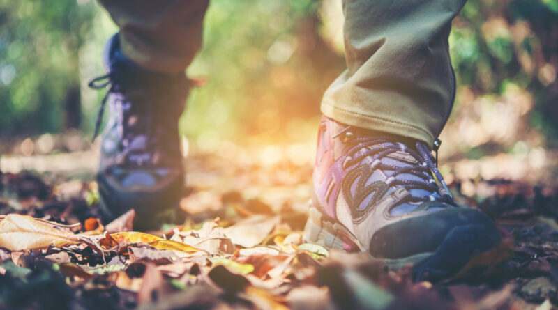 Close Up Adventure Woman Feet Walk Mountain Path