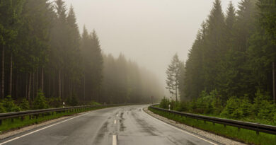 Long Road Leading Through Misty Forests