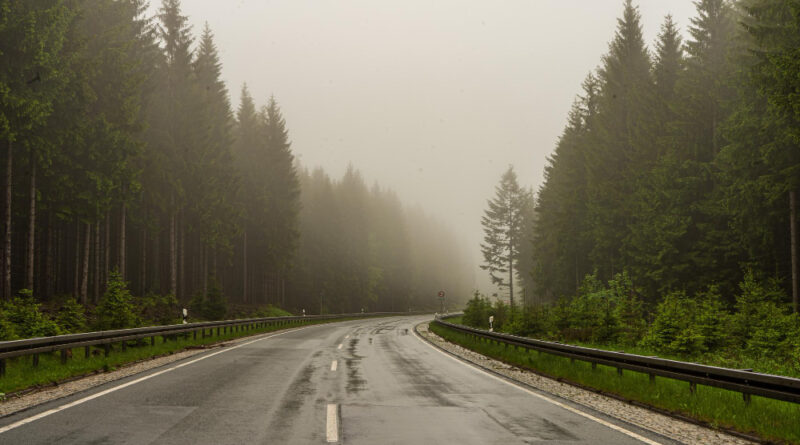Long Road Leading Through Misty Forests