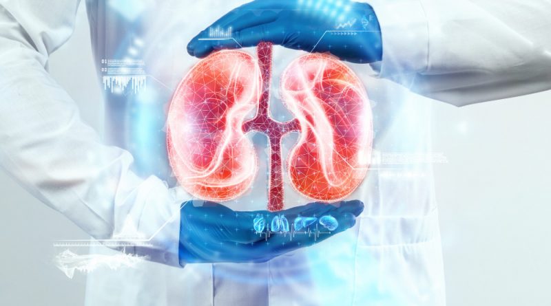 doctor-looks-kidney-hologram-checks-test-result-virtual-interface-analyzes-data-kidney-disease-stones-innovative-technologies-medicine-future (1)