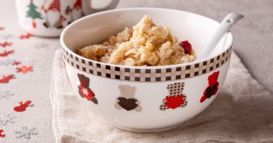 Oatmeal With Cranberries Baby Food Close Up