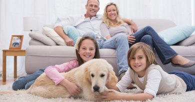 Cute Siblings Playing With Dog With Their Parent Sofa