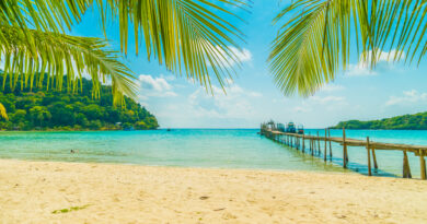 Beautiful Tropical Beach Sea With Coconut Palm Tree Paradise Island