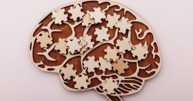 wooden-brain-puzzles-mental-health-problems-with-memory (1)