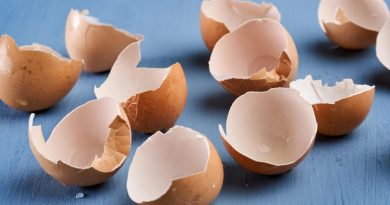 broken-egg-shells-blue-background