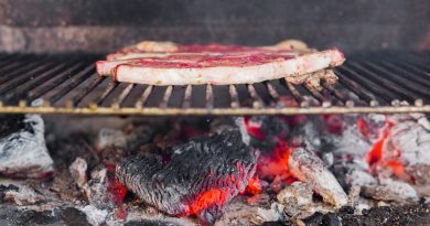 close-up-meat-barbecue-grill