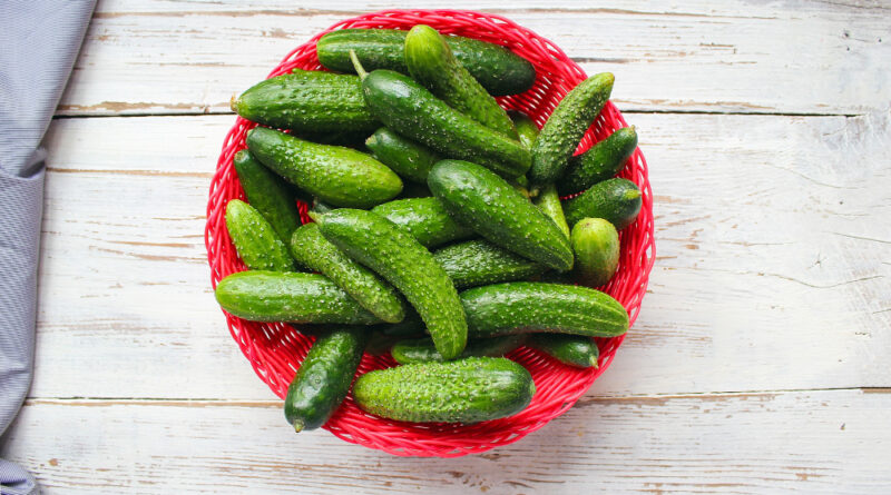 Fresh Organic Cucumbers Red Basket White Wooden Table With Green Red Chili Peppers Fennel Salt Black Peppercorns Garlic Pea Close Up Healthy Concept Top View Flat Lay