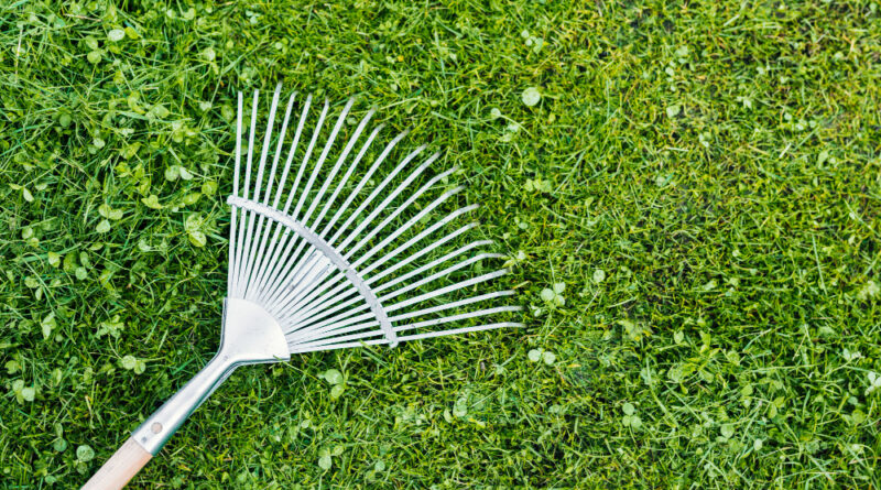 Top View Rake Grass