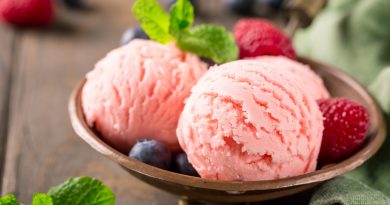 Raspberry Ice Cream Copper Bowl