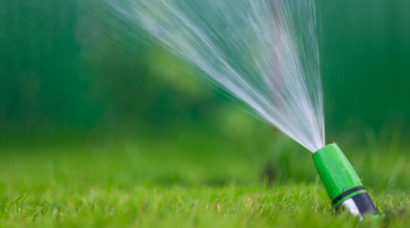 Watering green grass lawn with sprayer summer day