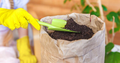 bag-with-earth-hands-gloves-with-garden-shovel-gardening-spring-planting