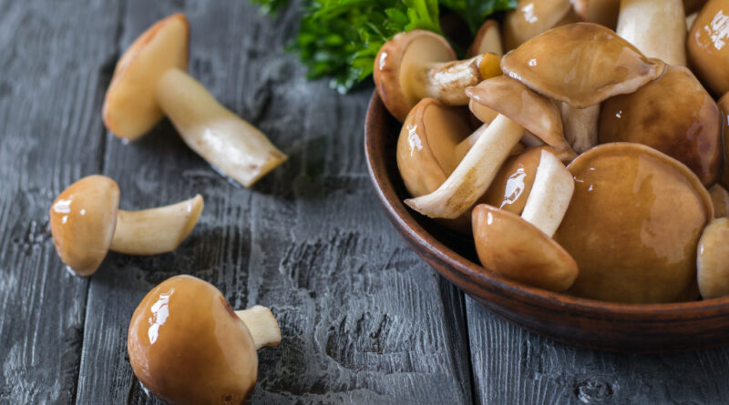 Mushrooms Clay Bowl Decorated With Parsley Leaves Dark Table Natural Vegetarian Cuisine