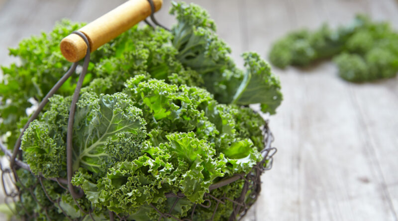 Fresh Green Kale Leaves Wooden Table